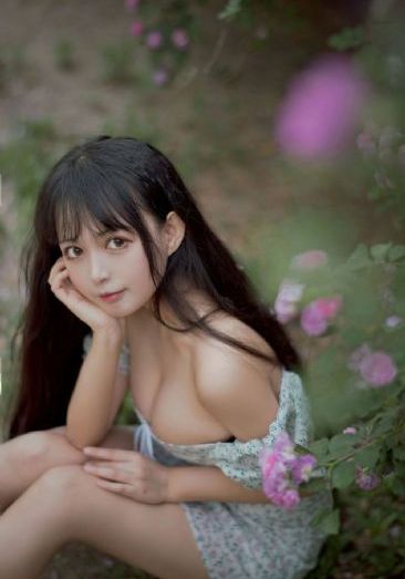 飞极速在线看