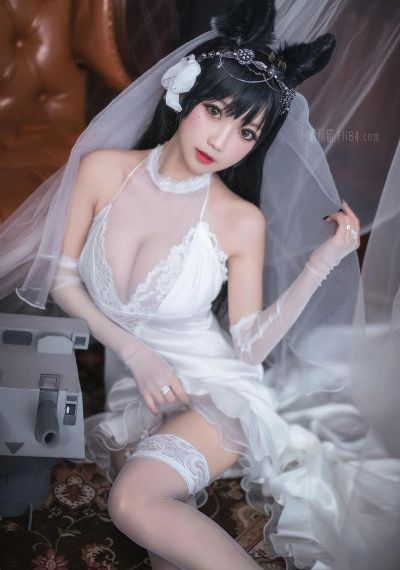 打仗电视剧大全免费观看